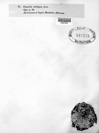 Image Associated With the Occurence